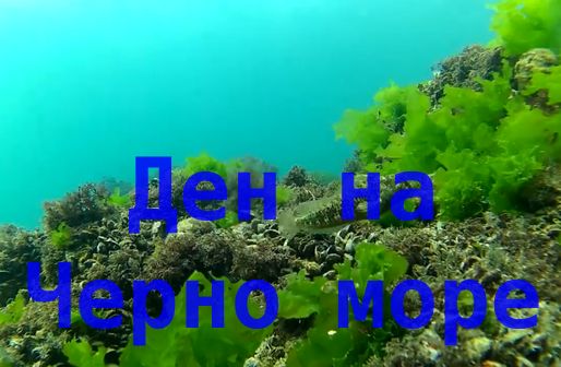 Международен ден на Черно море